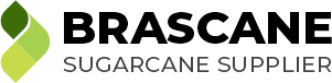 Brascane Sugarcane Supplier